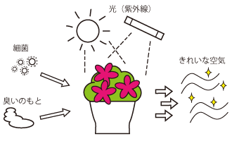 光触媒イメージ